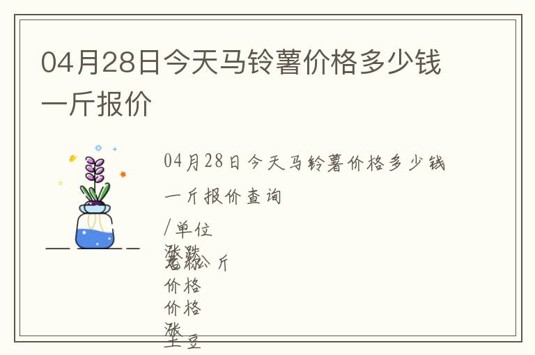 04月28日今天馬鈴薯價格多少錢一斤報價