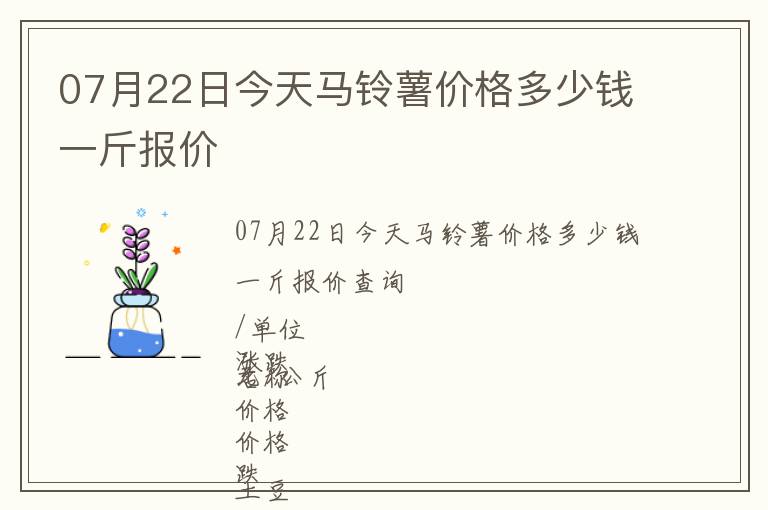 07月22日今天馬鈴薯價格多少錢一斤報價