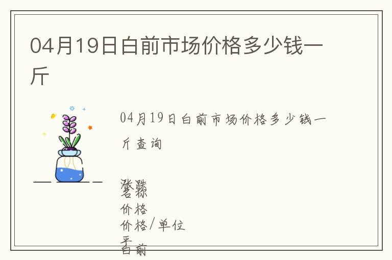 04月19日白前市場價格多少錢一斤