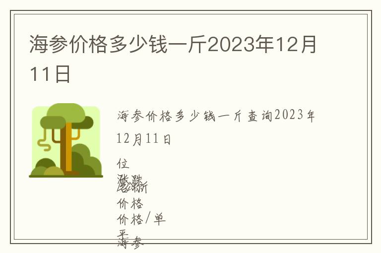 海參價(jià)格多少錢一斤2023年12月11日