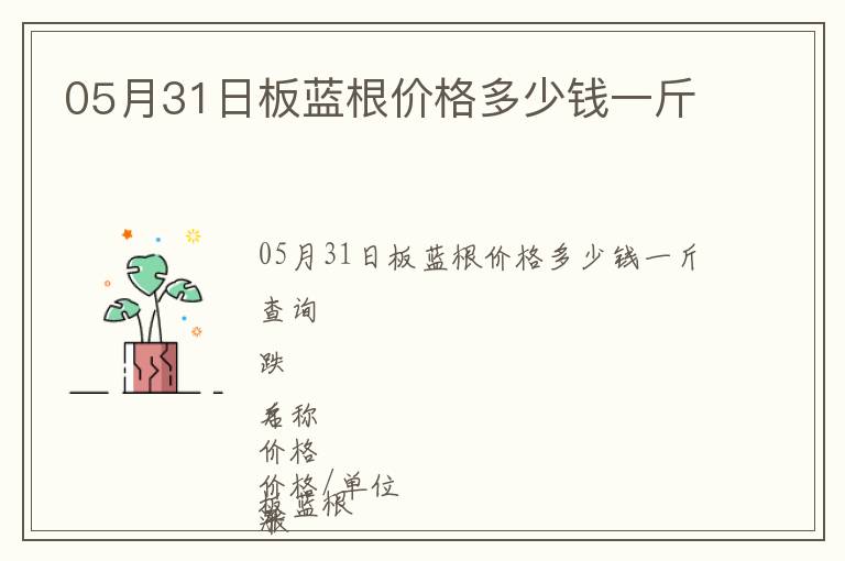 05月31日板藍(lán)根價格多少錢一斤