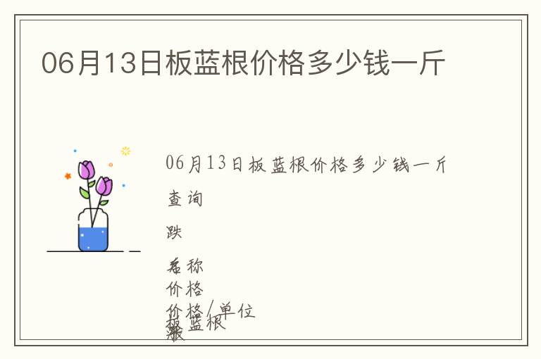 06月13日板藍(lán)根價(jià)格多少錢一斤