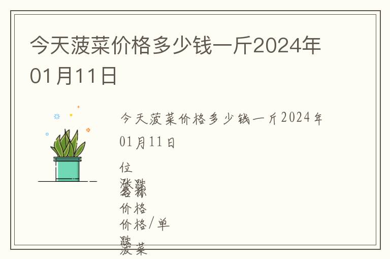 今天菠菜價(jià)格多少錢一斤2024年01月11日