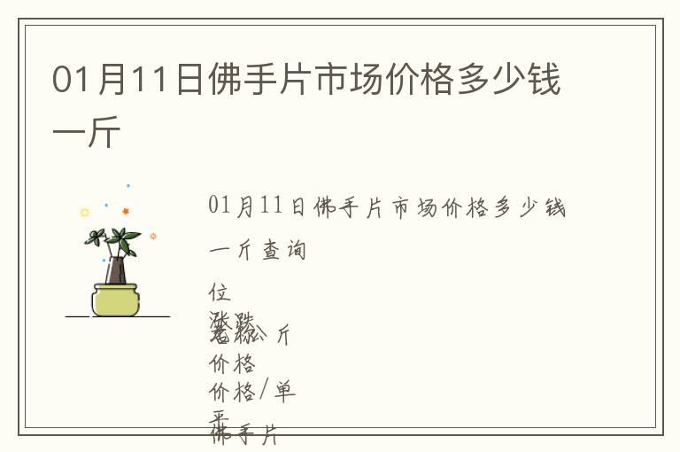 01月11日佛手片市場價格多少錢一斤