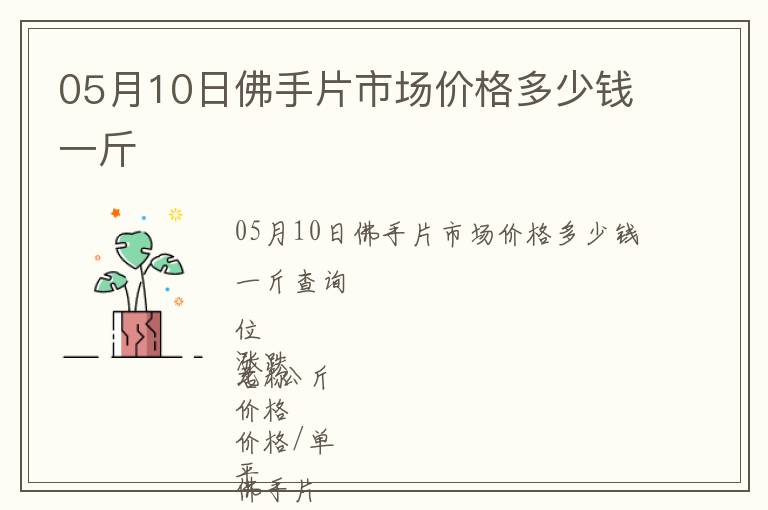 05月10日佛手片市場價格多少錢一斤