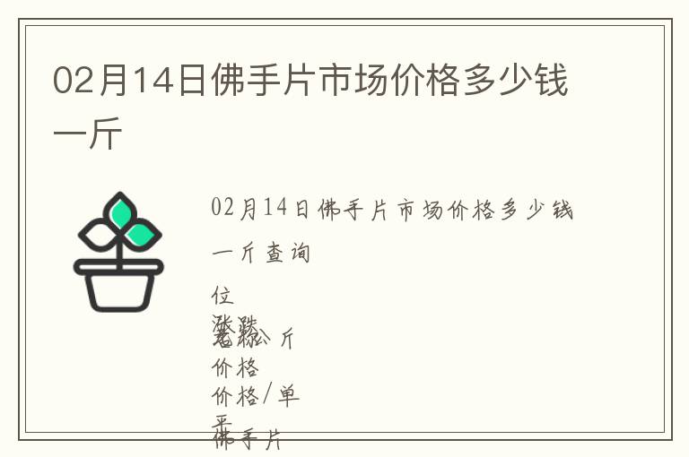 02月14日佛手片市場價格多少錢一斤