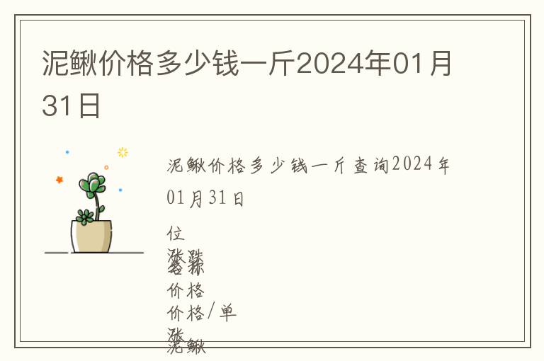 泥鰍價(jià)格多少錢一斤2024年01月31日