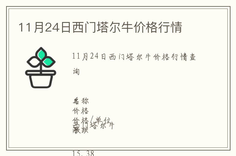 11月24日西門塔爾牛價格行情