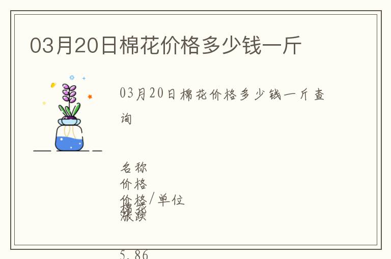 03月20日棉花價格多少錢一斤