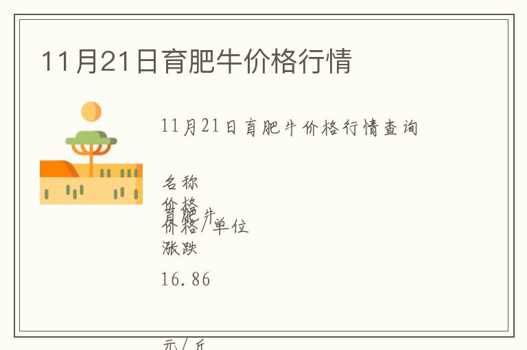 11月21日育肥牛價(jià)格行情
