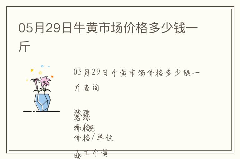 05月29日牛黃市場價格多少錢一斤