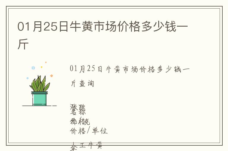 01月25日牛黃市場價格多少錢一斤