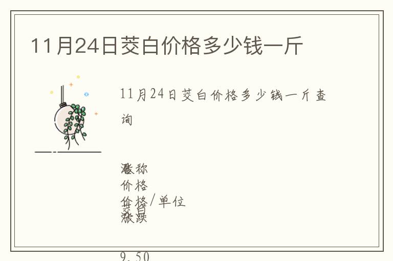 11月24日茭白價格多少錢一斤