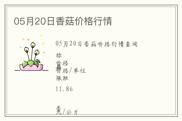 05月20日香菇價格行情
