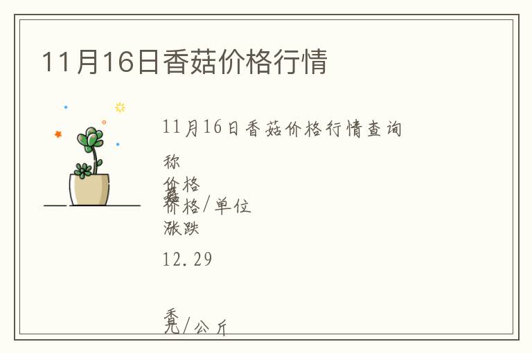 11月16日香菇價格行情