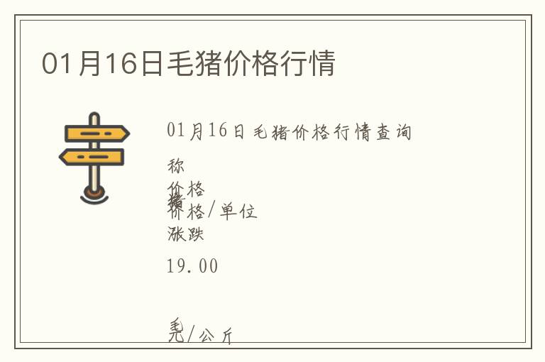 01月16日毛豬價格行情