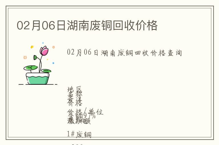02月06日湖南廢銅回收價(jià)格
