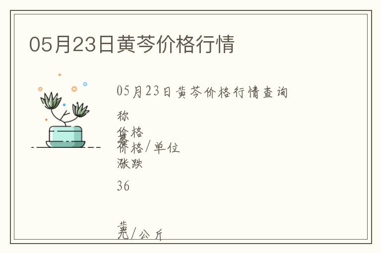 05月23日黃芩價格行情