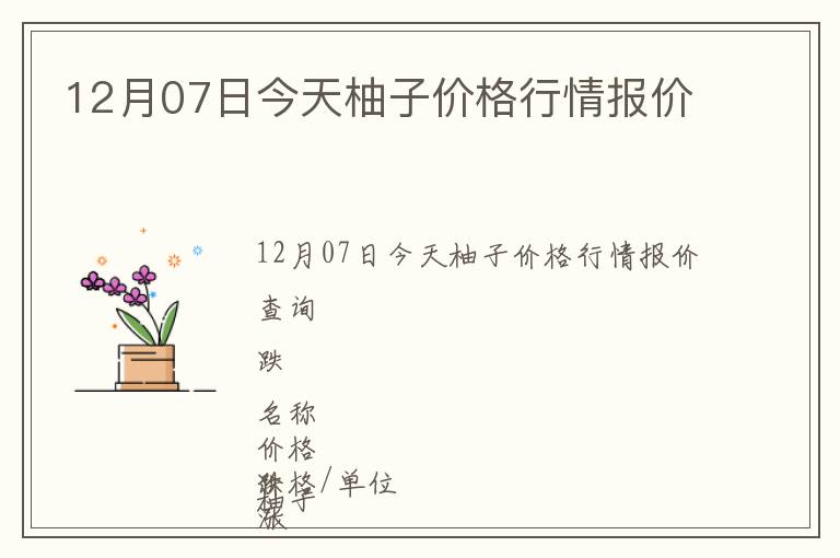 12月07日今天柚子價(jià)格行情報(bào)價(jià)
