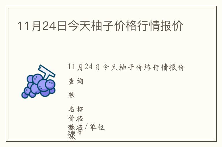 11月24日今天柚子價格行情報價