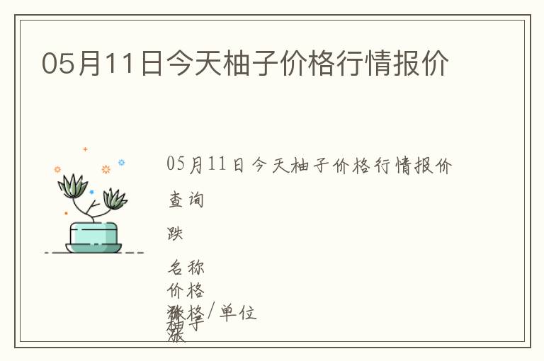 05月11日今天柚子價格行情報價