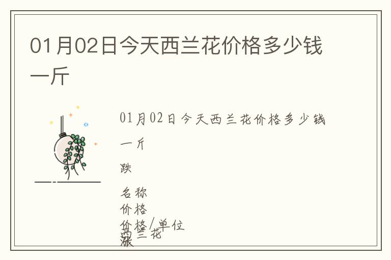 01月02日今天西蘭花價(jià)格多少錢(qián)一斤