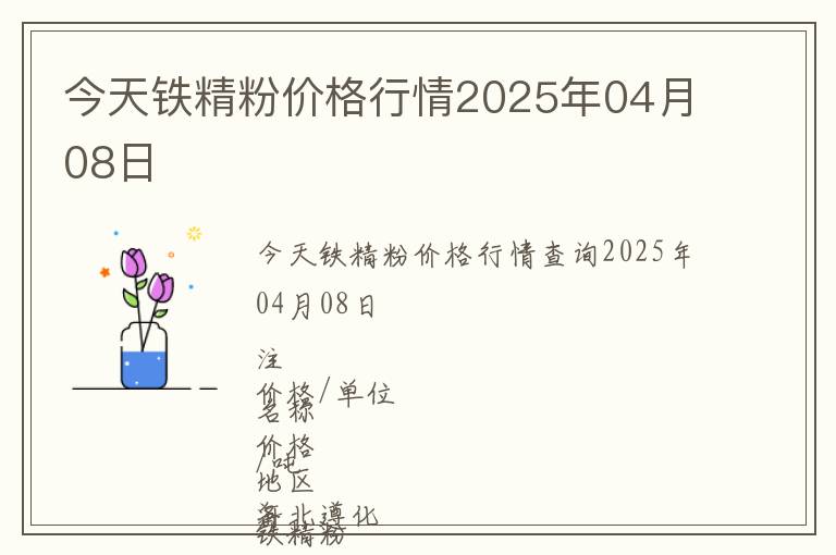 今天鐵精粉價格行情2025年04月08日