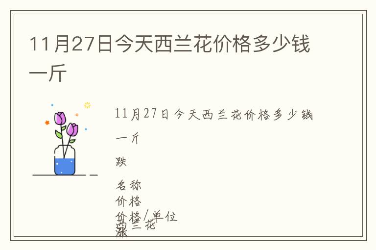 11月27日今天西蘭花價格多少錢一斤