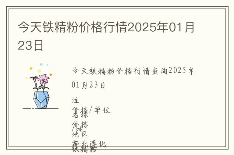 今天鐵精粉價格行情2025年01月23日