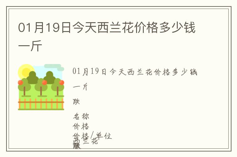 01月19日今天西蘭花價格多少錢一斤