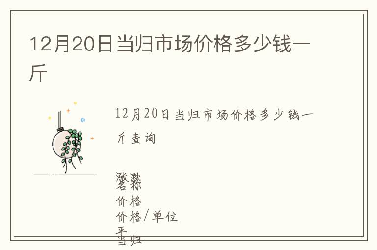 12月20日當(dāng)歸市場價(jià)格多少錢一斤
