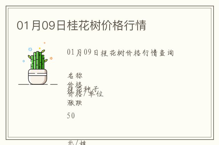 01月09日桂花樹價(jià)格行情