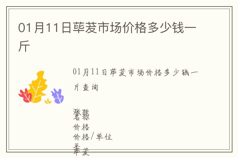 01月11日蓽茇市場(chǎng)價(jià)格多少錢一斤