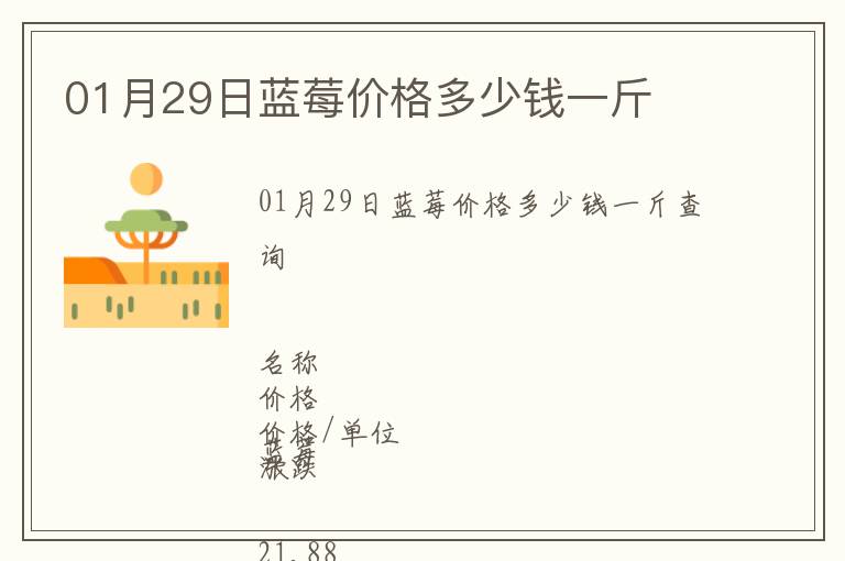 01月29日藍莓價格多少錢一斤