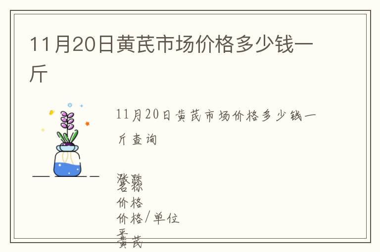 11月20日黃芪市場價(jià)格多少錢一斤