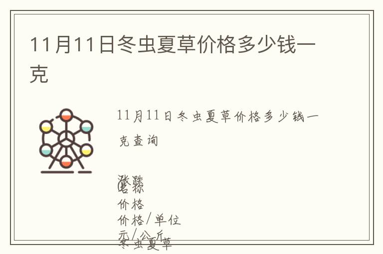 11月11日冬蟲夏草價(jià)格多少錢一克