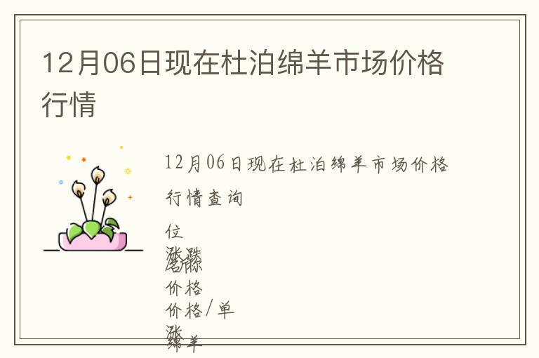 12月06日現(xiàn)在杜泊綿羊市場價(jià)格行情