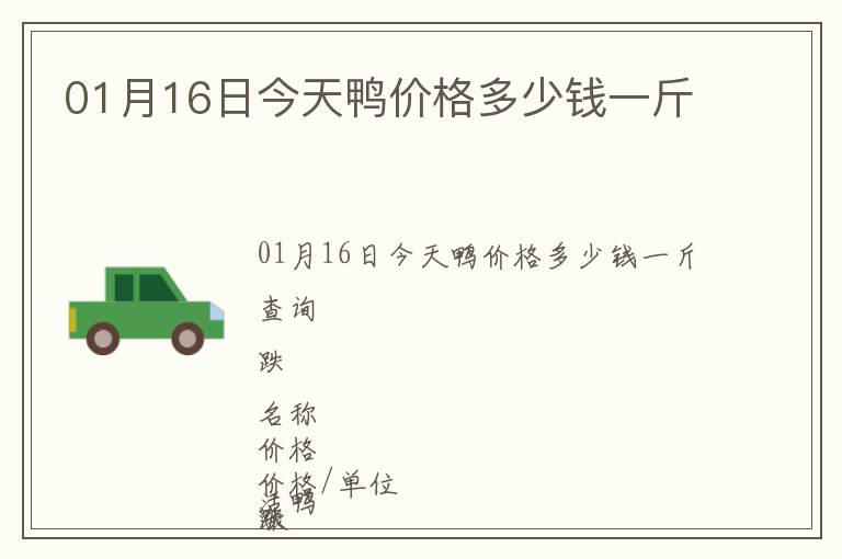 01月16日今天鴨價格多少錢一斤