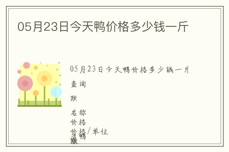 05月23日今天鴨價(jià)格多少錢一斤