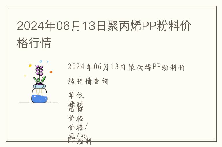 2024年06月13日聚丙烯PP粉料價(jià)格行情