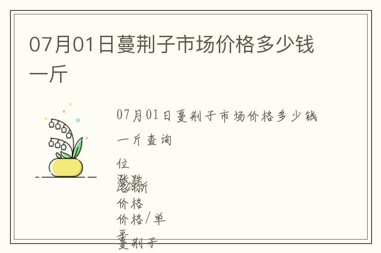 07月01日蔓荊子市場價格多少錢一斤