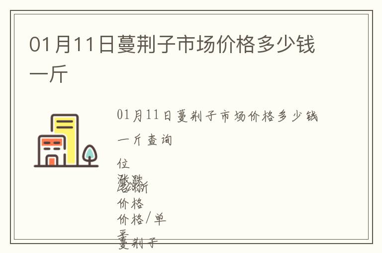 01月11日蔓荊子市場(chǎng)價(jià)格多少錢一斤
