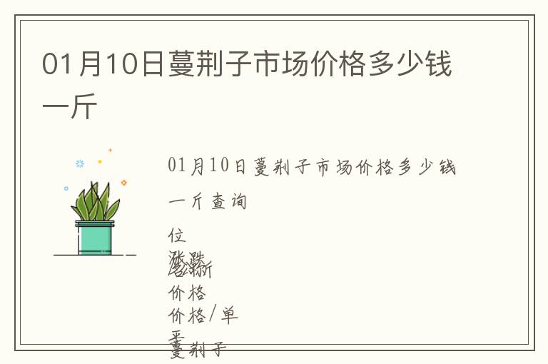 01月10日蔓荊子市場(chǎng)價(jià)格多少錢(qián)一斤