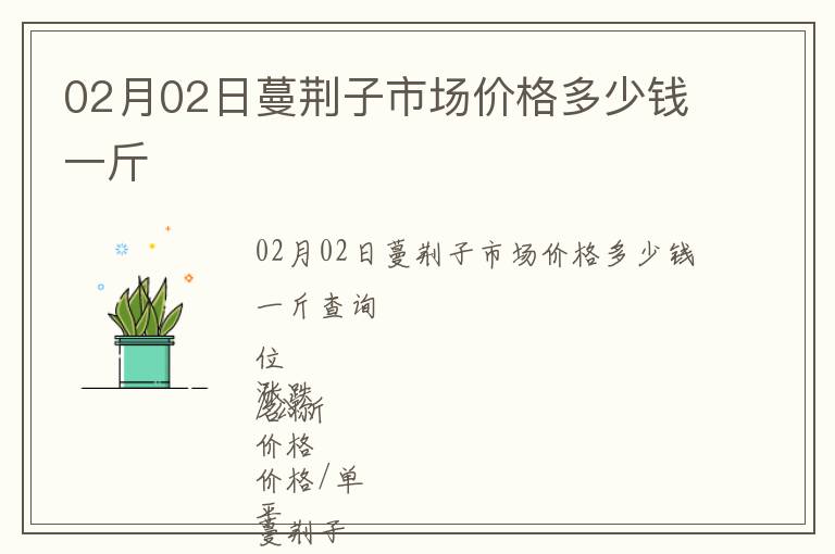 02月02日蔓荊子市場價格多少錢一斤