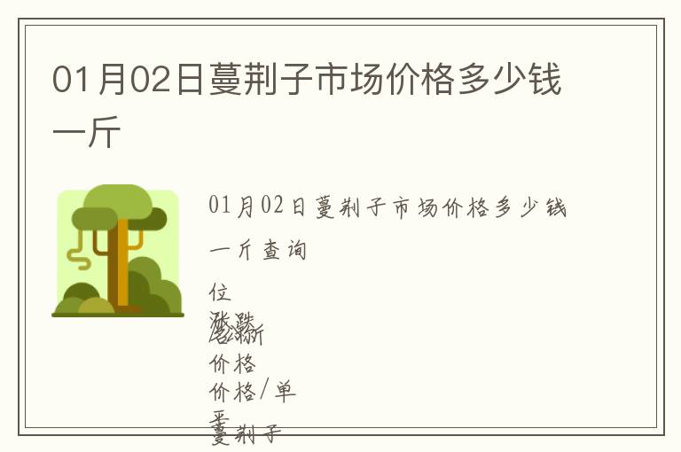 01月02日蔓荊子市場價格多少錢一斤