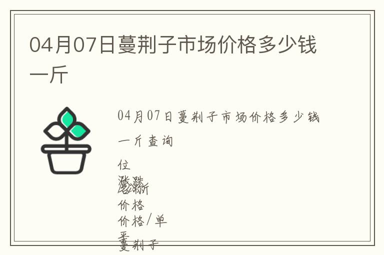 04月07日蔓荊子市場價格多少錢一斤