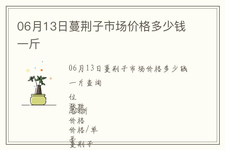 06月13日蔓荊子市場價格多少錢一斤