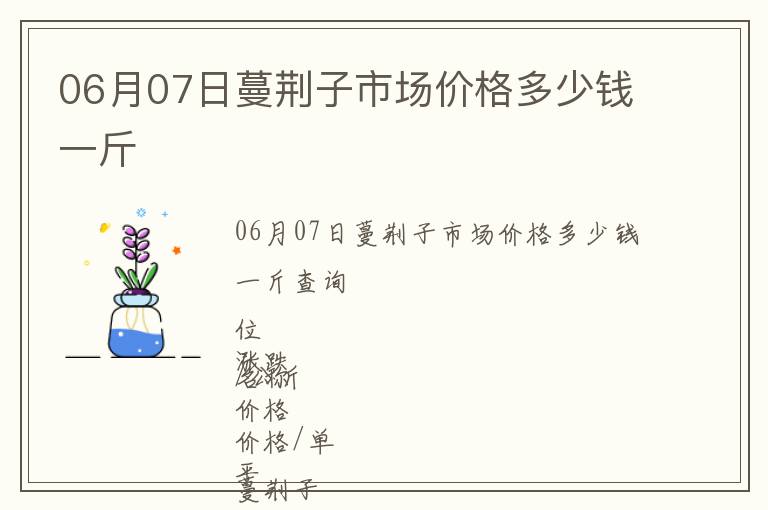06月07日蔓荊子市場價格多少錢一斤