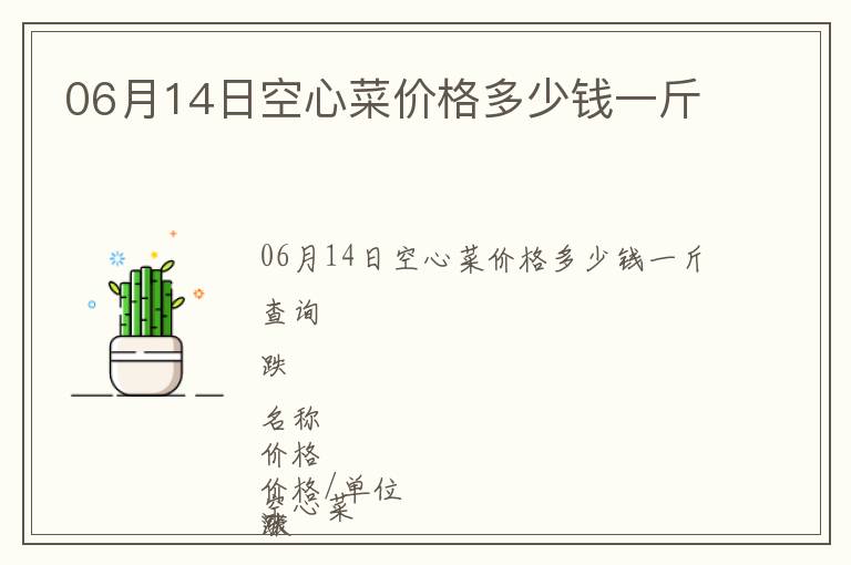 06月14日空心菜價格多少錢一斤
