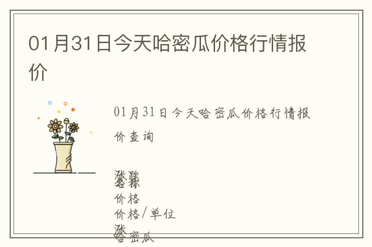 01月31日今天哈密瓜價格行情報價